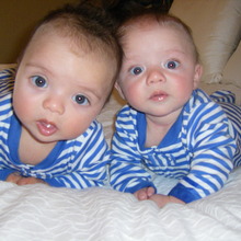 The most presh.large